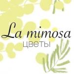 La Mimosa